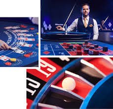 Tampilan meja dealer langsung Microgaming dengan dealer profesional dan antarmuka taruhan interaktif
